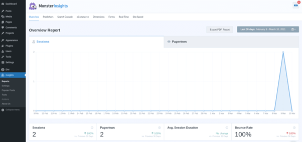 monsterinsights report