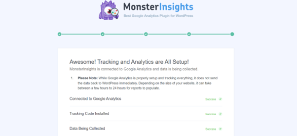monsterinsights