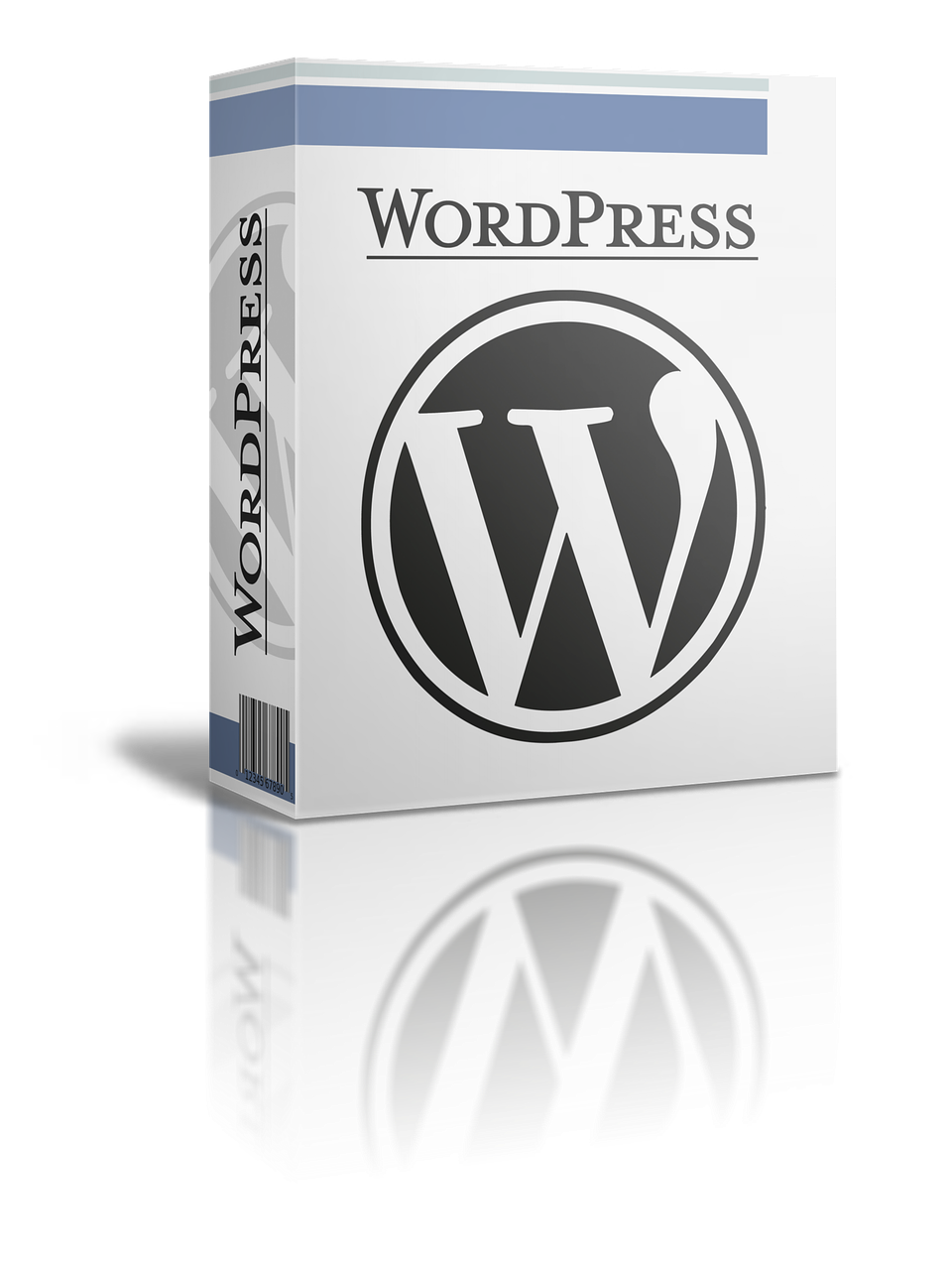 wordpress mistakes